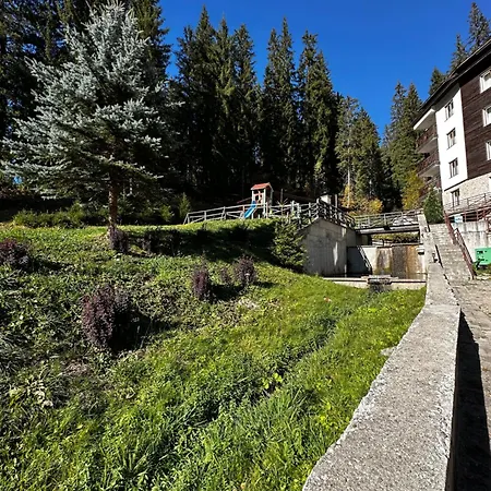 202 Stream * Pamporovo